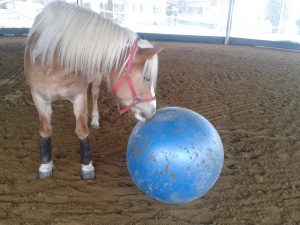 20150212_132321-Groß