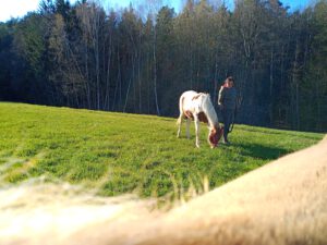 IMG_20210426_174239_871