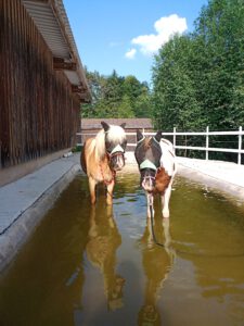 IMG_20210618_181319_792