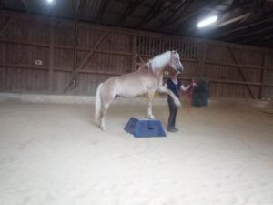 IMG_20210713_194248_635