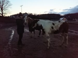 IMG_20220409_201931_5162