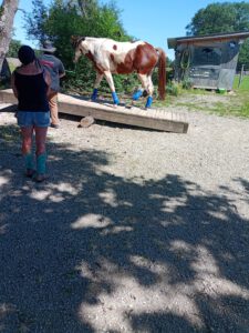 IMG_20230812_143926_215