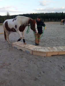 IMG-20240924-WA0026