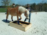 21.03.2026 - Reservierung