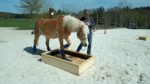 21.03.2026 - Reservierung