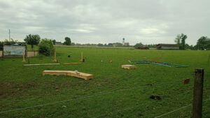 IMG-20250601-WA0008