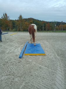 IMG_20251020_175822_398